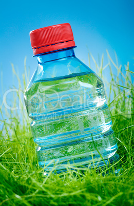 water bottle on the grass