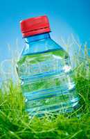 water bottle on the grass