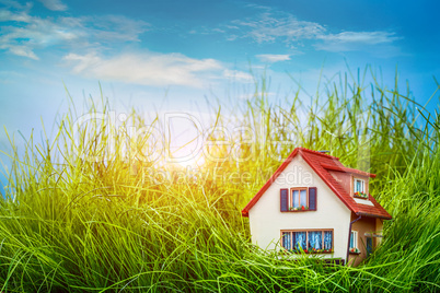 house on the green grass