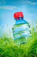 Water bottle on the grass