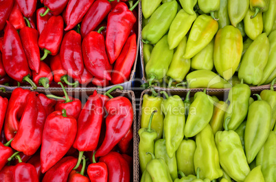 Red and green peppers