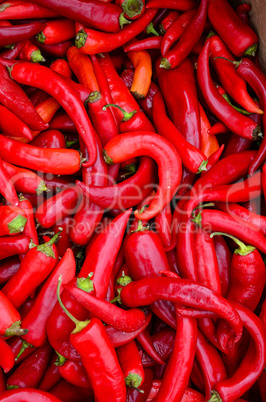 Red, hot peppers
