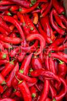 Red, hot peppers