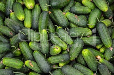 Cucumbers