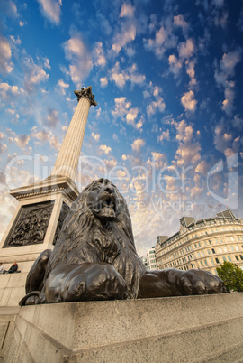 Lion Statue and Nelson Column at Trafalgar Square - Upward view