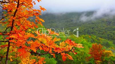 autumn landscape in mountains