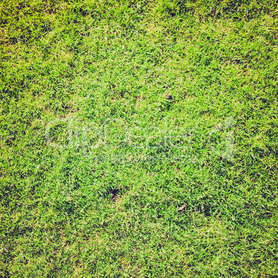 grass background