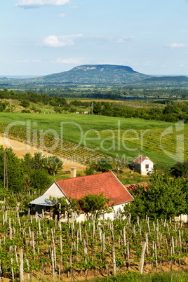 landscape from hungary