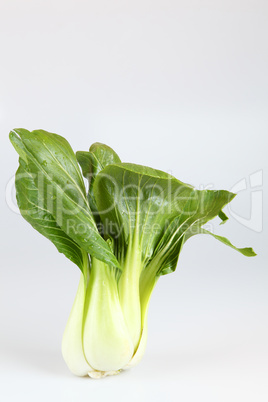 Pak Choi