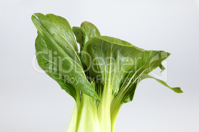 Pak Choi