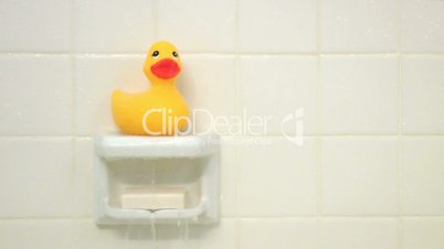 Rubber Duck Shower