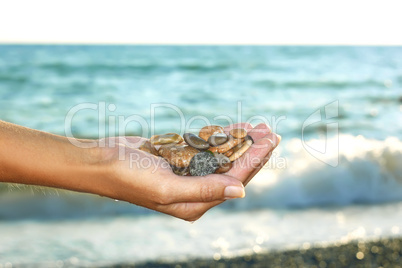 marine pebbles in a female hand