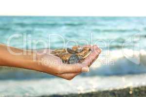 marine pebbles in a female hand