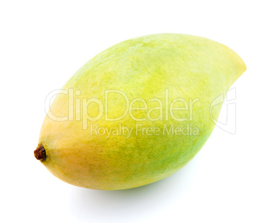 Fresh waterlily mango