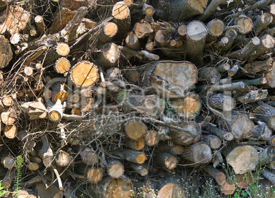 Brennholz, Holzlager, Holzstapel