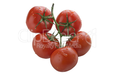 Bunch of tomatoes