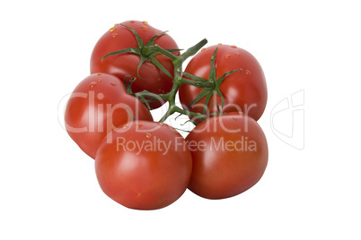 Bunch of tomatoes