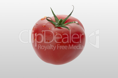 Fresh tomato