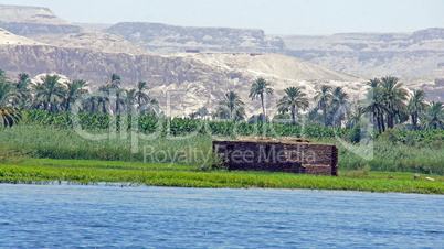 nile cruise