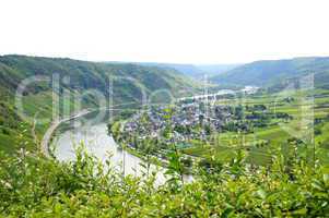 traben-trarbach wolf an der mosel