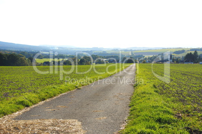 feldweg bei hinzerath im hunsrück