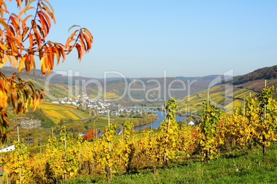 moseltal bei burg und reil