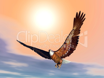 Eagle by sunset - 3D render