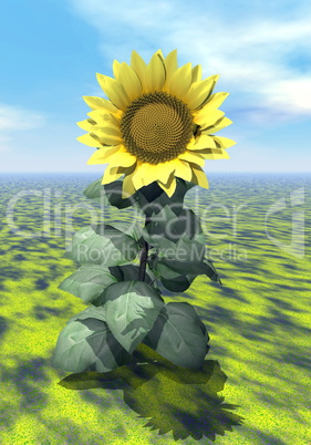 Sunflower power - 3D render