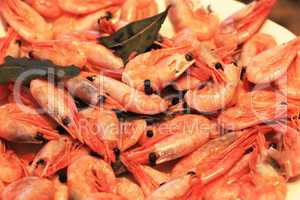 a boiled shrimps background ready for eating