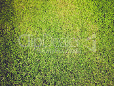 grass background