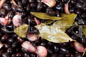 schwarze olive