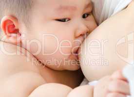 Breast feeding baby
