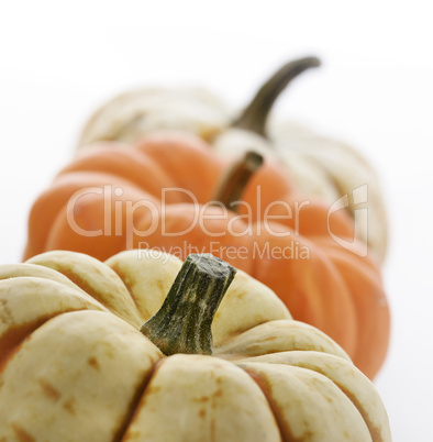 pumpkins