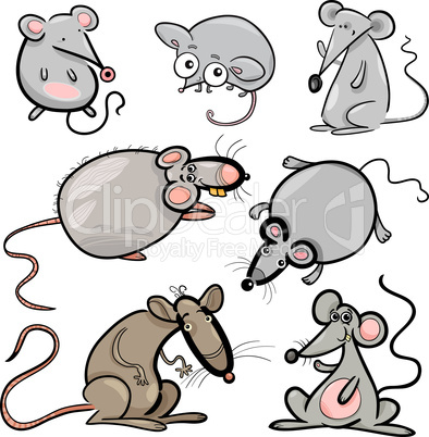 mice and rats set cartoon illustration