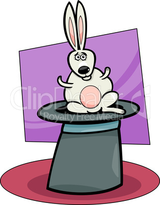 rabbit in hat cartoon illustration