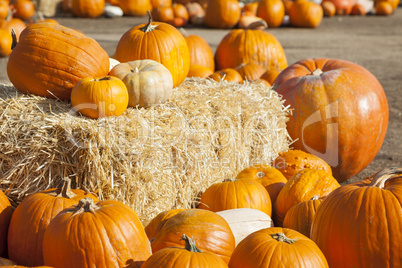 Fresh Orange Pumpkins and Hay in Rustic Fall Setting.