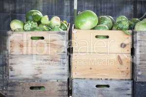 Fresh Fall Gourds and Crates in Rustic Fall Setting.
