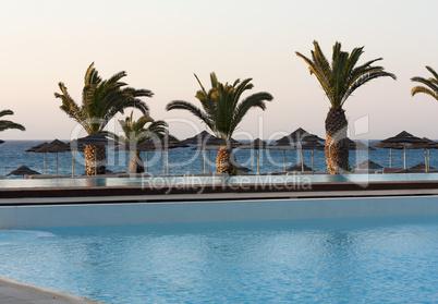 palms near water of sea or ocean photo