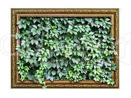 frame  with green leaves inside