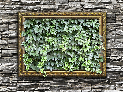 frame on the stone wall with green leaves inside