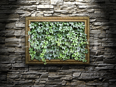 frame on the stone wall with green leaves inside