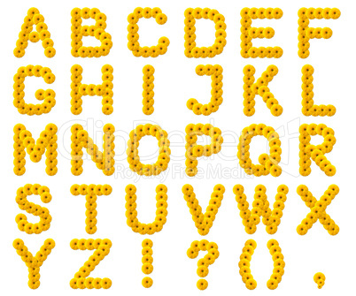 letters of the alphabet from yellow flowers