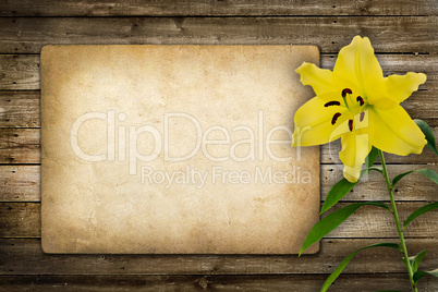 Card for invitation or congratulation with yellow lily flower