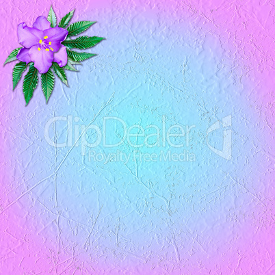 pink-and-blue grungy background with flower violet
