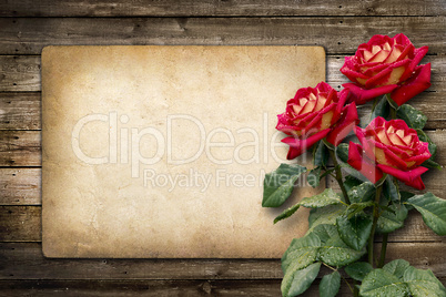 card for invitation or congratulation with red rose