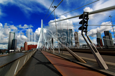 Erasmus Bridge view