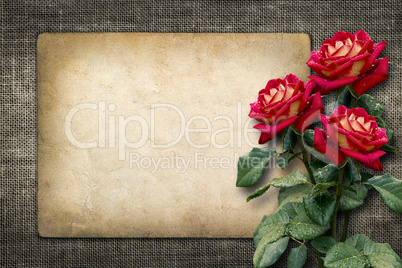 card for invitation or congratulation with red roses