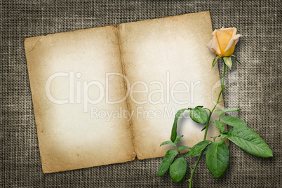 card for invitation or congratulation with yellow rose