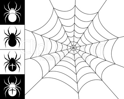 Spiders and web