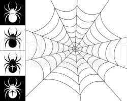 Spiders and web